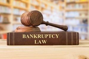 Hudson Valley Area bankruptcy fraud lawyer