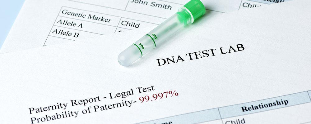 Rockland County paternity lawyer